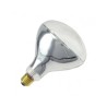 Foco Infrarrojo Claro R40 250w
