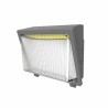 LED Wallpack 100W