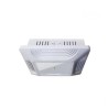 Gasolinera Canopy 100w