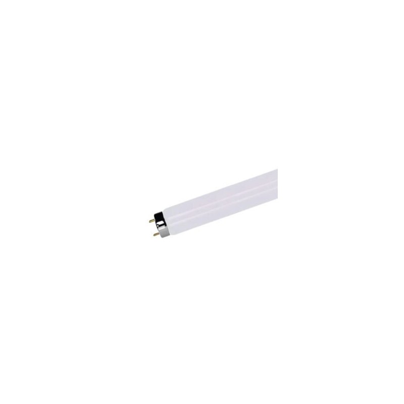Fluorescente T8 15w