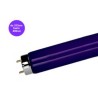 Luz Negra 20w
